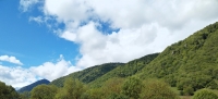 Vue de la terrasse 7